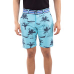 Palm Beach Shorts // Turquoise (42)