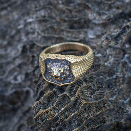 Signet Lion Face Ring // Heirloom Lion Collection // Bronze (7.5)