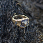 Signet Lion Face Ring // Heirloom Lion Collection // Bronze (10)