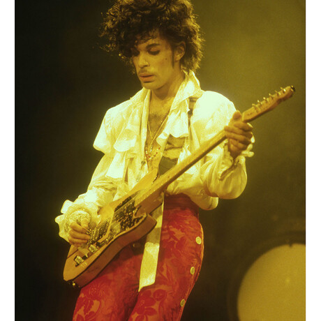 Prince #21 // Jeffrey Mayer (18"W x 24"H)