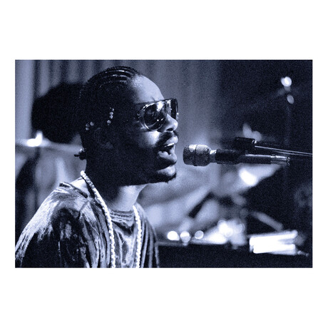 Stevie Wonder #12 // Jeffrey Mayer (18"W x 24"H)