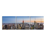 Empire State Building (20"H x 60"W x 1"D)