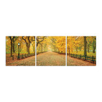 Central Park in the Fall (24"H x 72"W x 1"D)