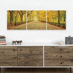 Central Park in the Fall (20"H x 60"W x 1"D)