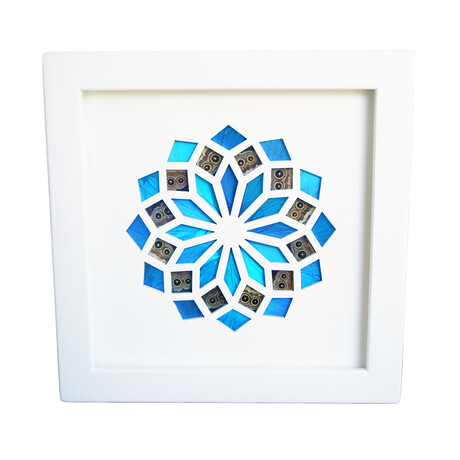 Shimmering Blue Morpho Butterfly Wing Kaleidoscope // White