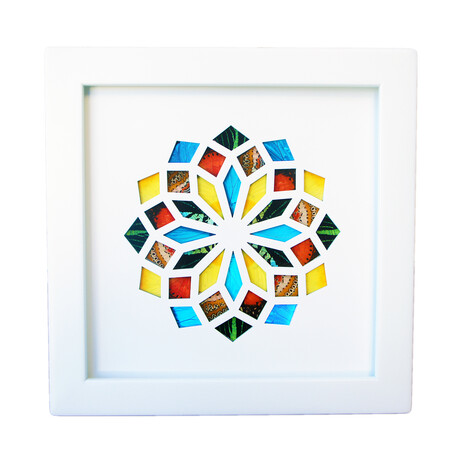 Bold and Vibrant Butterfly Wing Kaleidoscope Pattern // White
