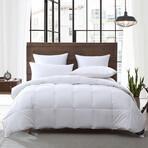 Smithsonian Sleep // Natural Down + Feathers All-season Comforter (Twin)