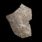 Muonionalusta Meteorite Slice // Ver. 2