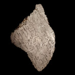 Muonionalusta Meteorite Slice // Ver. 3