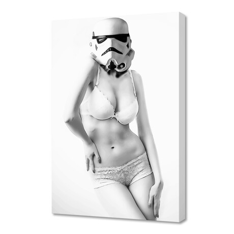 Sexy collection : sexy stormtrooper (16"W x 24"H x 1.5"D)
