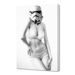 Sexy collection : sexy stormtrooper (16"W x 24"H x 1.5"D)