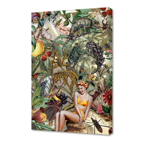 BOMBUS TERRESTRIS (16"W x 24"H x 1.5"D)