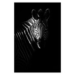 Zebra Profile (31.5"W x 47''H)