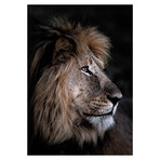 Lion Profile (31.5"W x 47''H)
