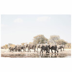 Elephant Family (47"W x 31.5''H)