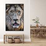 Lion Stare (31.5"W x 47''H)