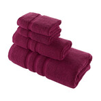 Alexis® Antimicrobial Irvington™ 4-Piece Towel Set (Blue Fog)