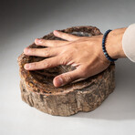 Genuine Polished Petrified Wood Bowl // V2