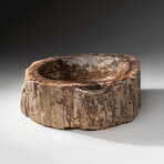 Genuine Polished Petrified Wood Bowl // V2