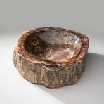 Genuine Polished Petrified Wood Bowl // V2