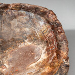 Genuine Polished Petrified Wood Bowl // V2