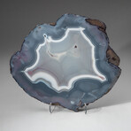 Genuine Polished Banded Agate Slice + Acrylic Display Stand