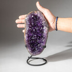 Genuine Natural Amethyst Crystal Cluster + Custom Metal Stand