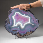 Genuine Polished Banded Agate Slice + Acrylic Display Stand