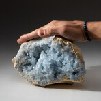 Genuine Natural Blue Celestite Crystal Cluster // V2