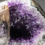Genuine Natural Amethyst Geode + Large Calcite Crystal
