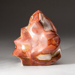 Genuine Polished Polychrome Jasper Flame Freeform