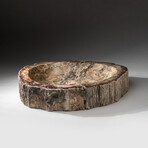 Genuine Polished Petrified Wood Bowl // V1