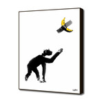 Chimpanzee and Banana Taped