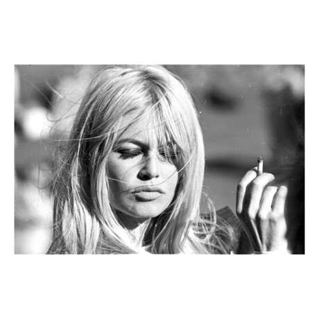 Brigitte Bardot (24"W x 20"H)