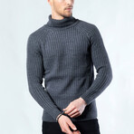 Raines Turtleneck Sweater // Gray (Small)