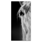 Horse 1 Eye // White