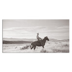 Man On A Horse (48"W x 16"H x 0.5"D)