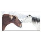 2 Horses // Kissing