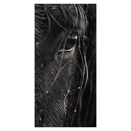 Horse 1 Eye // Black
