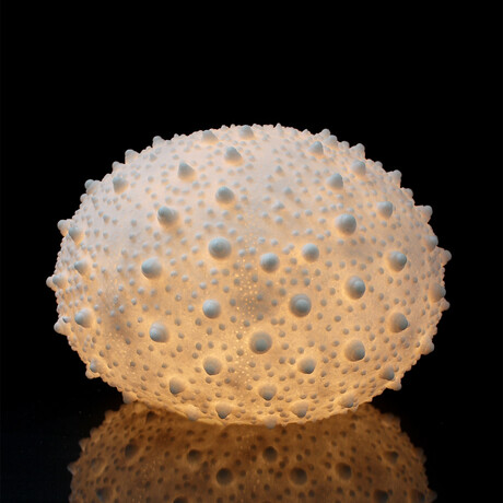 Cast Resin Sea Urchin Lamp // Large