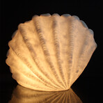 Cast Resin Standing Shell Lamp