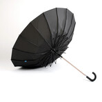 The Smart Umbrella