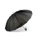 The Smart Umbrella