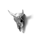 Diesel Living // Aluminum Bison Skull