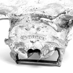 Diesel Living // Aluminum Bison Skull