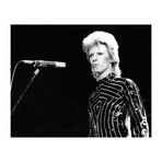 Ziggy Stardust Era Bowie In LA (16"W x 20"H)