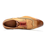Amberes Nubuck Shoe // Light Brown (Euro: 43)