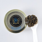 Classic Caviar Collection