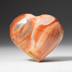 Genuine Polished Petrified Wood Heart + Acrylic Display Stand