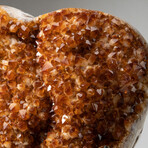 Massive Genuine Citrine Clustered Heart + Custom Metal Stand